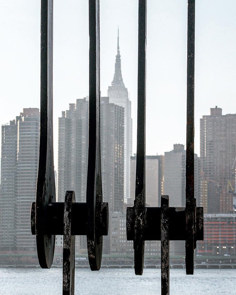 It's basically spring now ... 🌻🌸🌻 