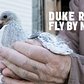 Creative Time Presents Duke Riley's Fly By Night