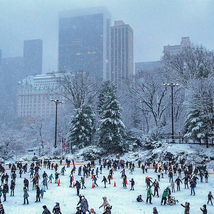 Wollman Rink, Central Park, New York, New York