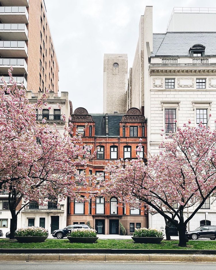 Park Avenue, Upper East Side, Manhattan