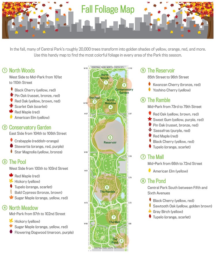 Central Park Fall Foliage Map