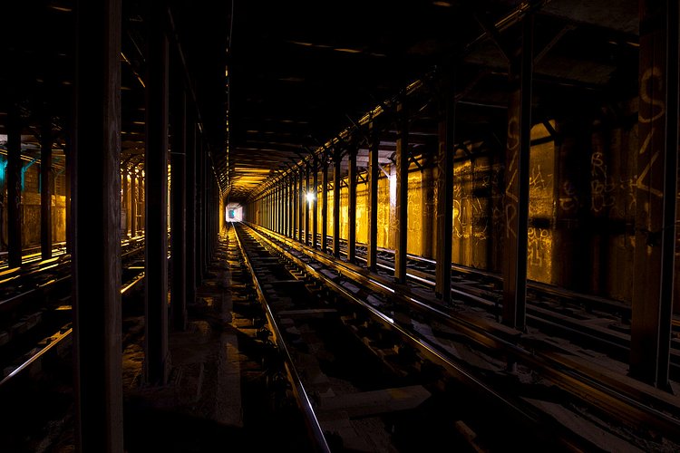 here for that sweet, sweet honey