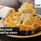 This is the most cheese we've ever seen