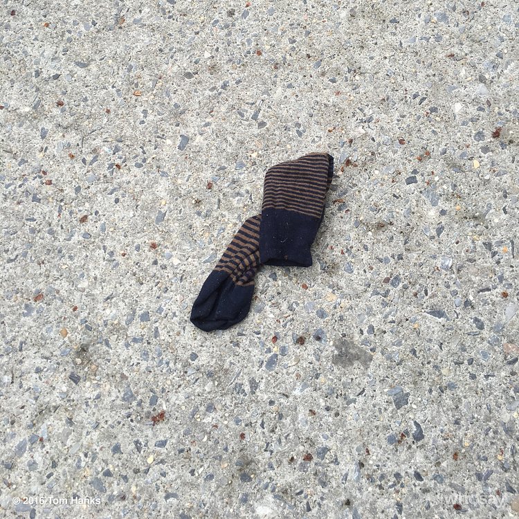 Who loses a sock?  I mean, how do you drop a sock? Hanx https://t.co/7KXtTi2KOc