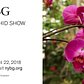 The Orchid Show Spotlight: Orchids and Their Companion Plantings