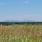 Manhattan Skyline from Freshkills Park, Staten Island