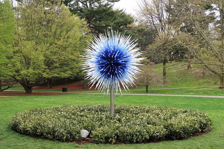 Sapphire Star | Dale Chihuly glass sculpture at the New York Botanical Garden.