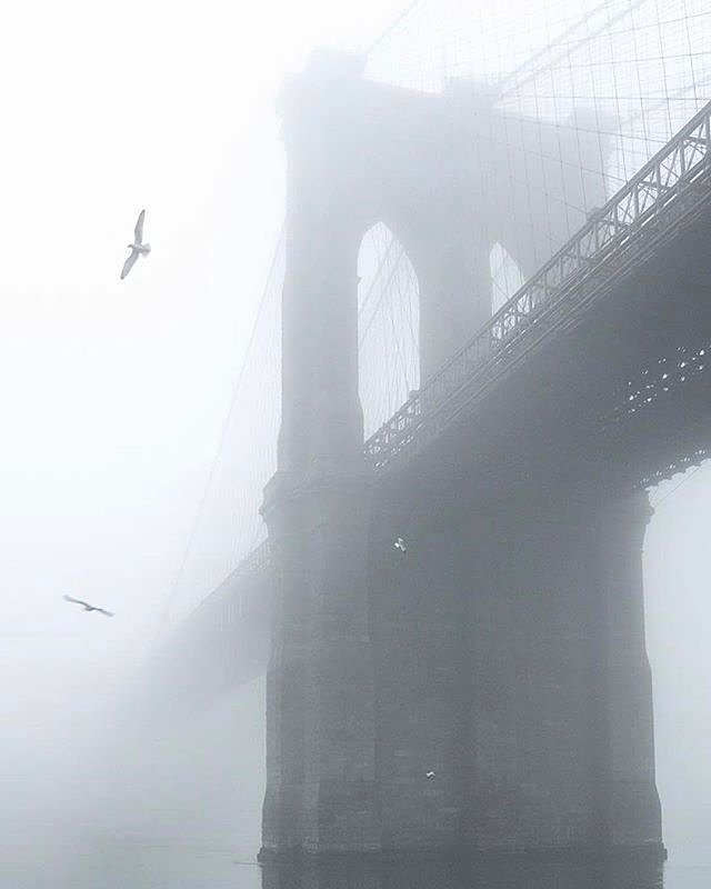 Brooklyn Bridge. Photo via @212sid #viewingnyc