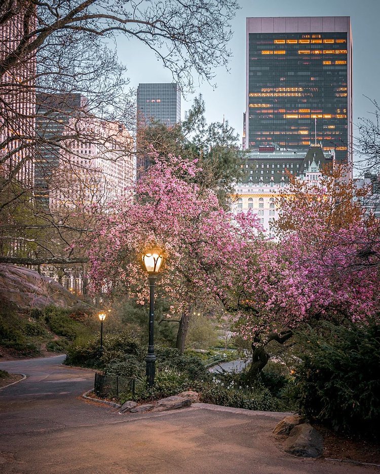 Central Park, Manhattan