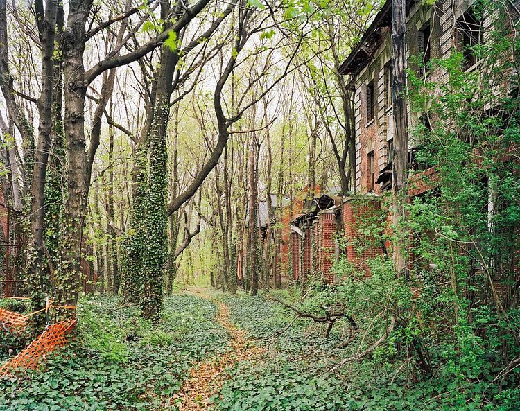 A street on North Brother Island.