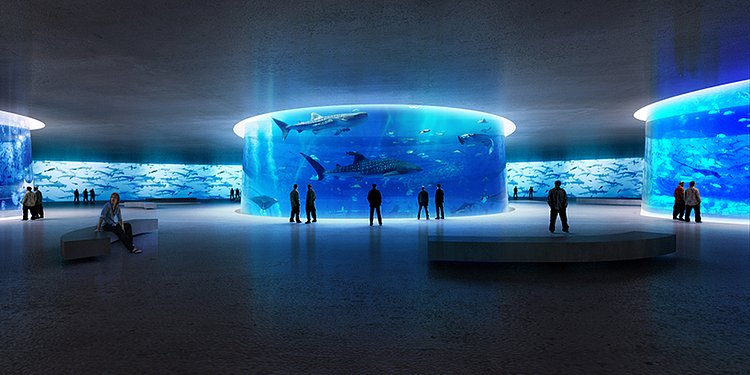 The idea is to make the visitors feel as if they’re entering the water and discovering the beauty of marine life