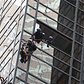 ESU Trump Tower Rescue Recap