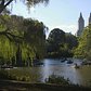 The Microbes of Central Park | The New York Times