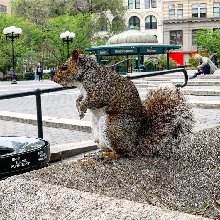 Union Square, Manhattan