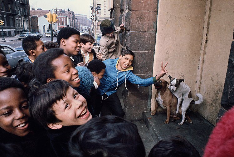 1973 East 167th Street, South Bronx.