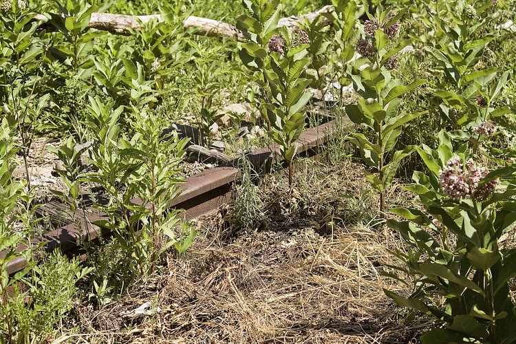 r_130623434_beat25_a