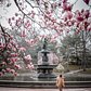 Bethesda Terrace and Fountain, Central Park, Manhattan