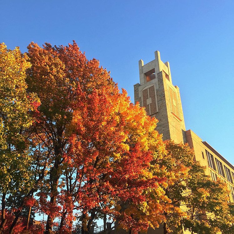 63 and sunny, Happy Tuesday!