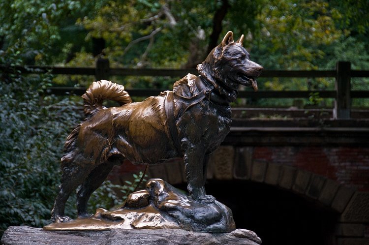 Balto | He is the most amazing dog in the world. I wanted to see this statue since 2000 and i finally made it.