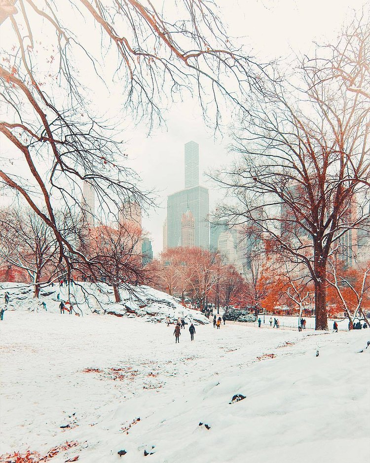 Central Park, New York, New York