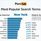 Most Popular Porn Search Terms in New York