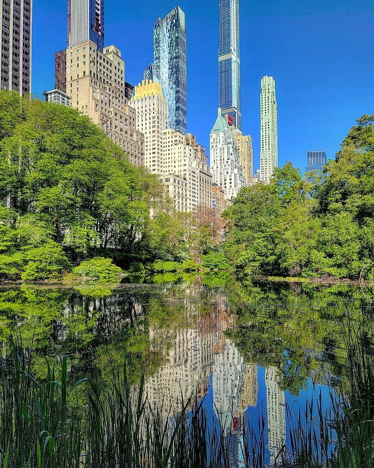The Pond, Central Park, Manhattan