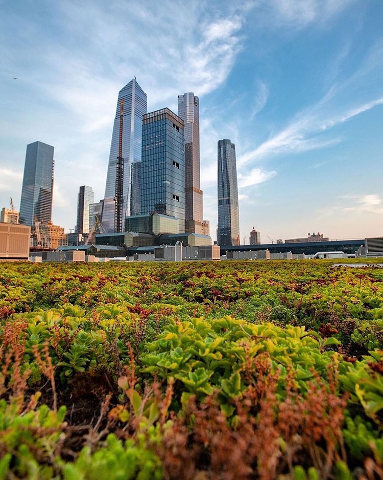 Hudson Yards, Manhattan.