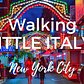 Walking LITTLE ITALY on Mulberry Street in New York City