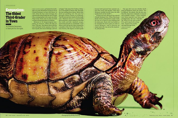 Molasses, a class pet for the ages.