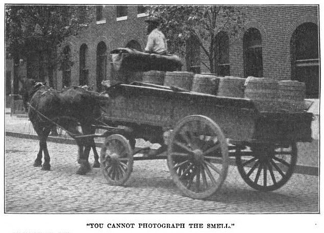 A night soil man. Images WikiCommons