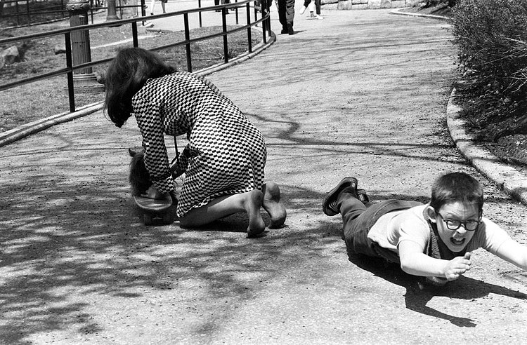 A woman positions her dog on a skateboard while a turnt-up young boy body-boards past her.