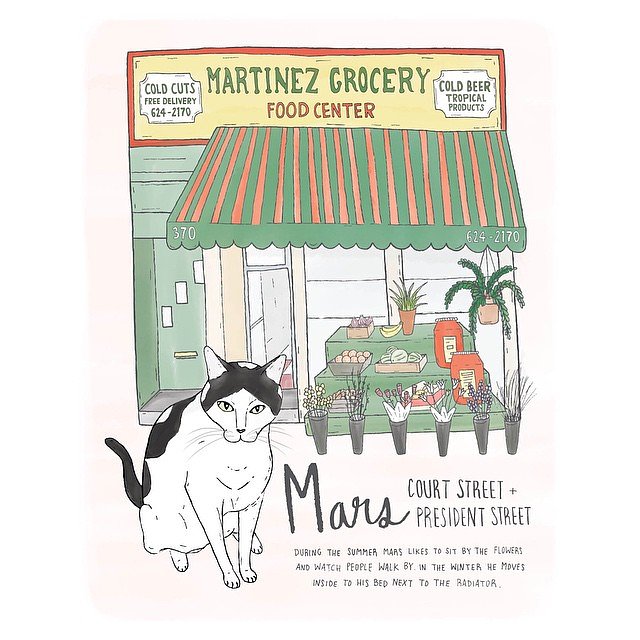 Mars // Carroll Gardens
#brooklyn #brooklynbodegacats #bodegacatsofinstagram #bodegacats #carrollgardens