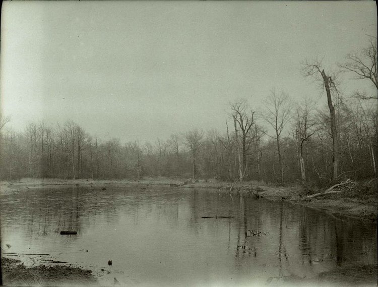 Pond near the Moravian Cemetery, Staten Island, circa 1937. (From the Collection of the Staten Island Museum)