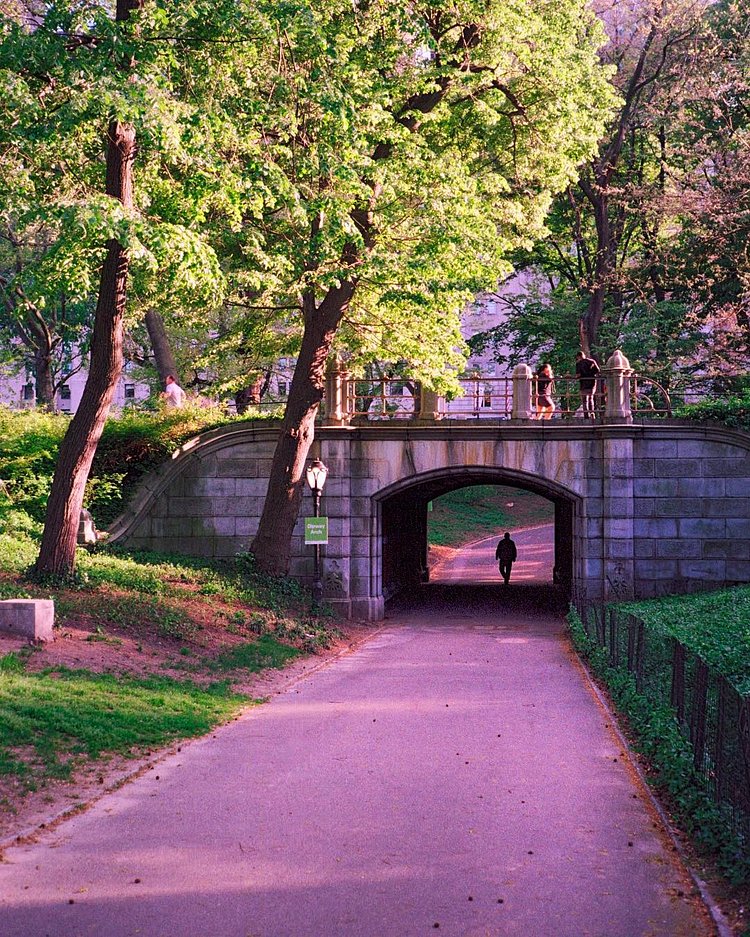 Spring sunshine & shadow
