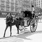 View of a hansom cab, parked at the sidewalk, near Madison Square, New York, 1905.