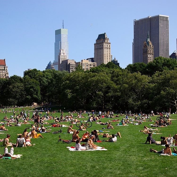 Central Park gökdelenlerin ortasında bir vaha... New York'a her gelişimde sabahları erkenden gidiyorum parka; takıyorum kulaklığımı, açıyorum müziğimi, en az bir saat yürüyorum. Sonra da çimenlerde uzanıp ,masmavi gökyüzüne bakıp hayallere dalıyorum.😇 Yüzölçümünün Monako Prensliğinden büyük olduğu söyleniyor::)))) Yazın hafta sonları manzara bu; mayolarıyla, şortlarıyla güneşlenen yüzlerce insan:) öte yandan kimi koşuyor, kimi bisiklete biniyor.. Geçenlerde okumuştum, arazi değeri 500 Milyar USD mış.. Bizde olsa çoktan 2-3 AVM , residanslar, ofis kuleleri dikmiştik!!! Böylesine değerli bir alanı kent parkı olarak bırakan zihniyete bravoo 👏Herkese iyi pazarlar🙏