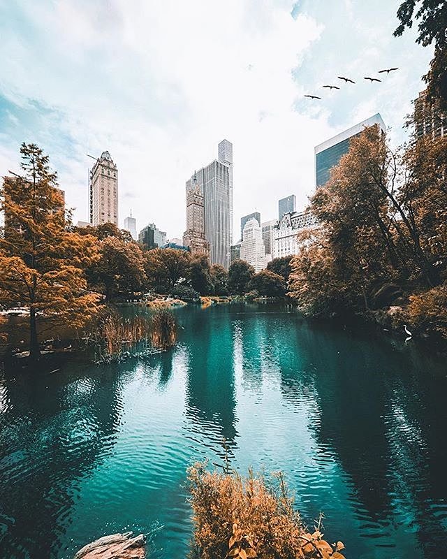 Central Park, New York. Photo via @206shooter #viewingnyc #newyorkcity #newyork #nyc