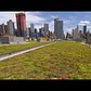 NYC Javits Center's unconventional green roof