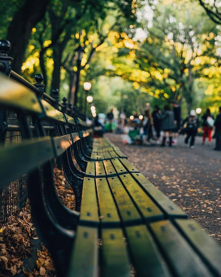 Central Park, New York, New York