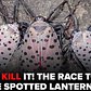 Spotted Lanternfly: Everything you need to know about tree-destroying invasive pest