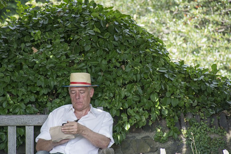 Wave Hill | Photo: Brent Terry for The Bronx Bohemian / Viewing NYC