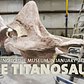 The Titanosaur: Coming to the Museum in January 2016