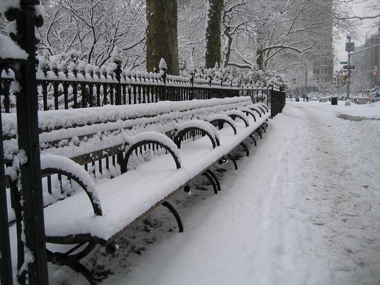 NYC snow day | Madison Sq. Park.