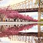 Roosevelt Island, Manhattan
