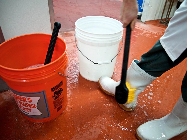 Entering the Caves, Murray's Cheese Long Island City