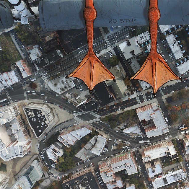 #fromwheretheducksits 🐤