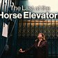 A Last Ride in New York City's Disappearing Horse Elevators