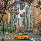 Park Avenue, Midtown, Manhattan