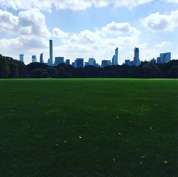 Taking in a new morning over the #greatlawn