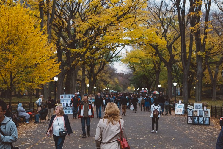 Autumn in Central Park